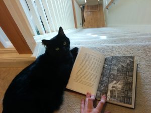 BookCat02